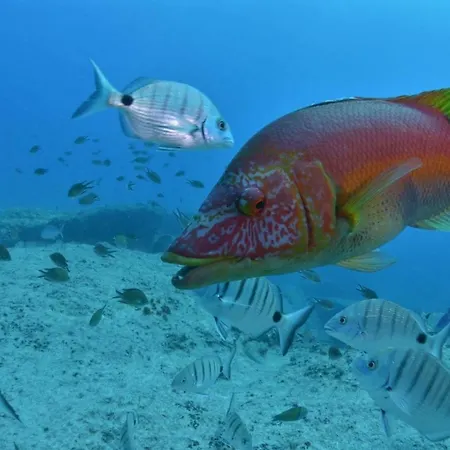 Teiga Playa 蒂亚斯